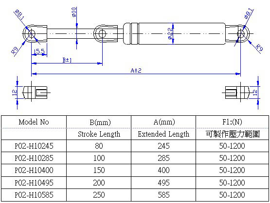 P02-H1022M 10mmx22mm中